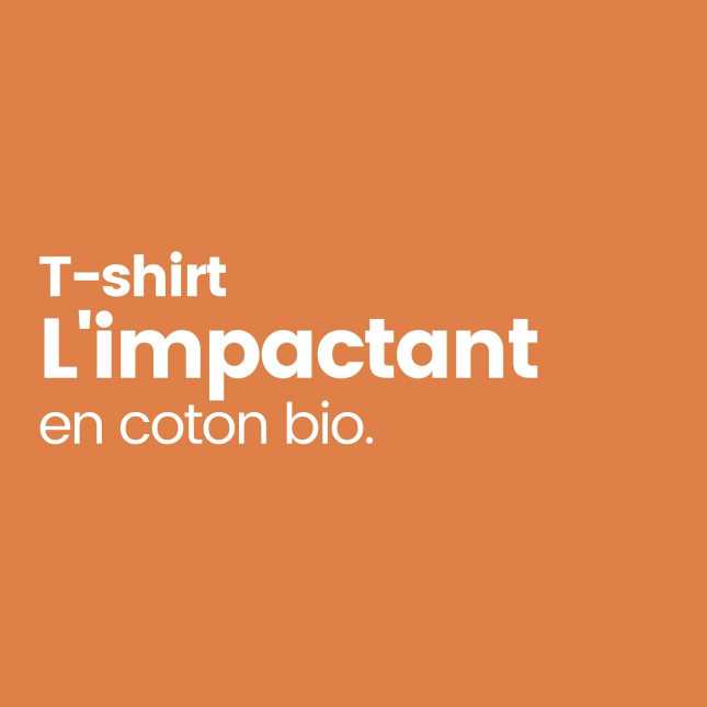 T-shirt pas cher en coton Bio - Made In France | Lemahieu