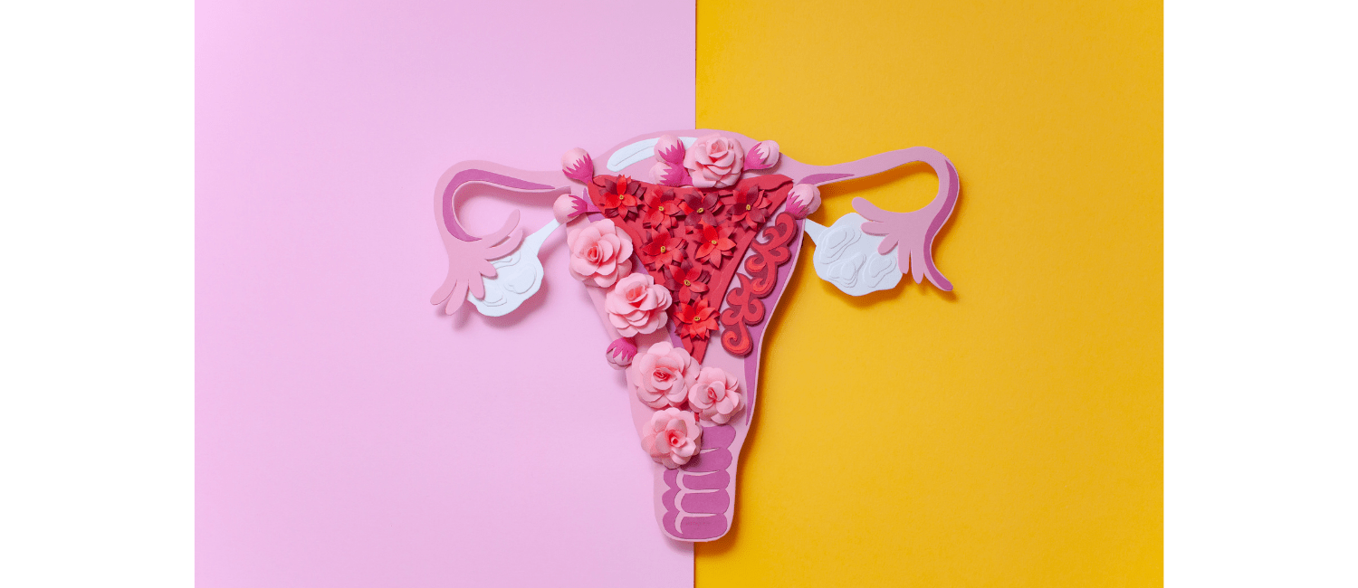 Ovaires polykystiques et syndrome des ovaires polykystiques - Pourquoi  différencier les deux ?
