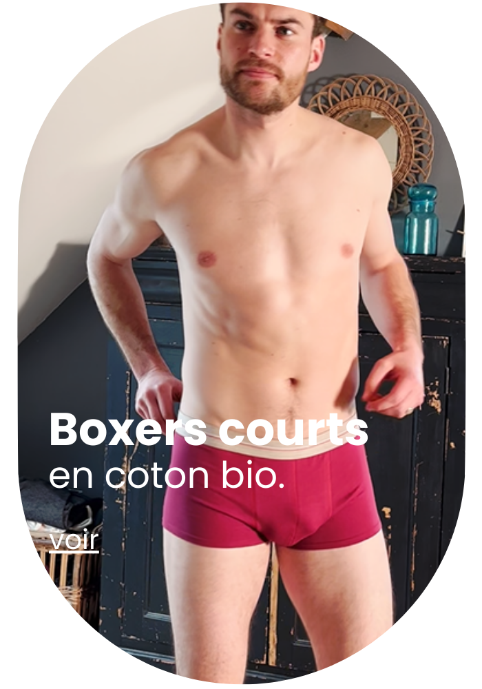 Boxers made in france Lemahieu