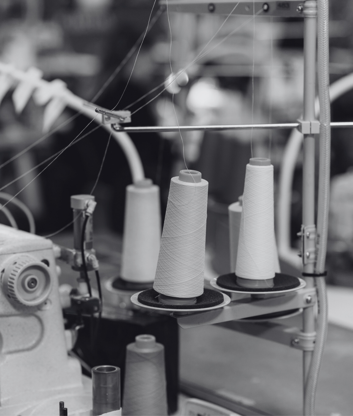 Lemahieu | France Terre Textile