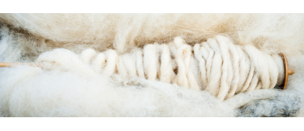 Qu'est-ce que la laine mérinos ?